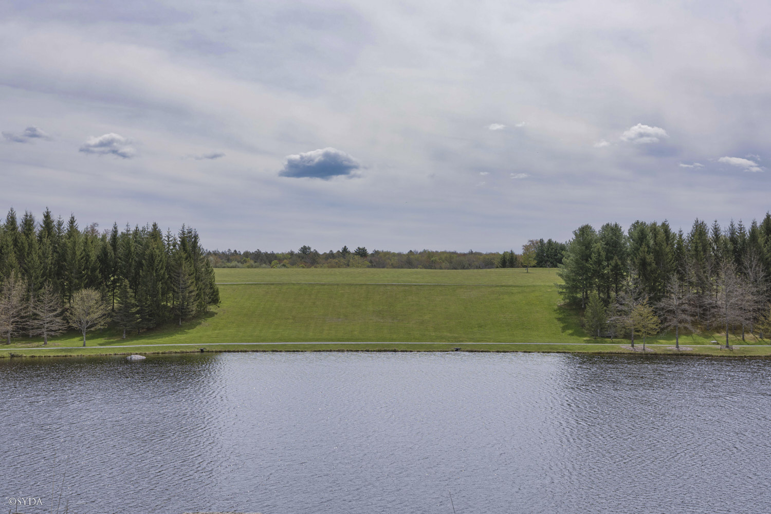 Nature Image
