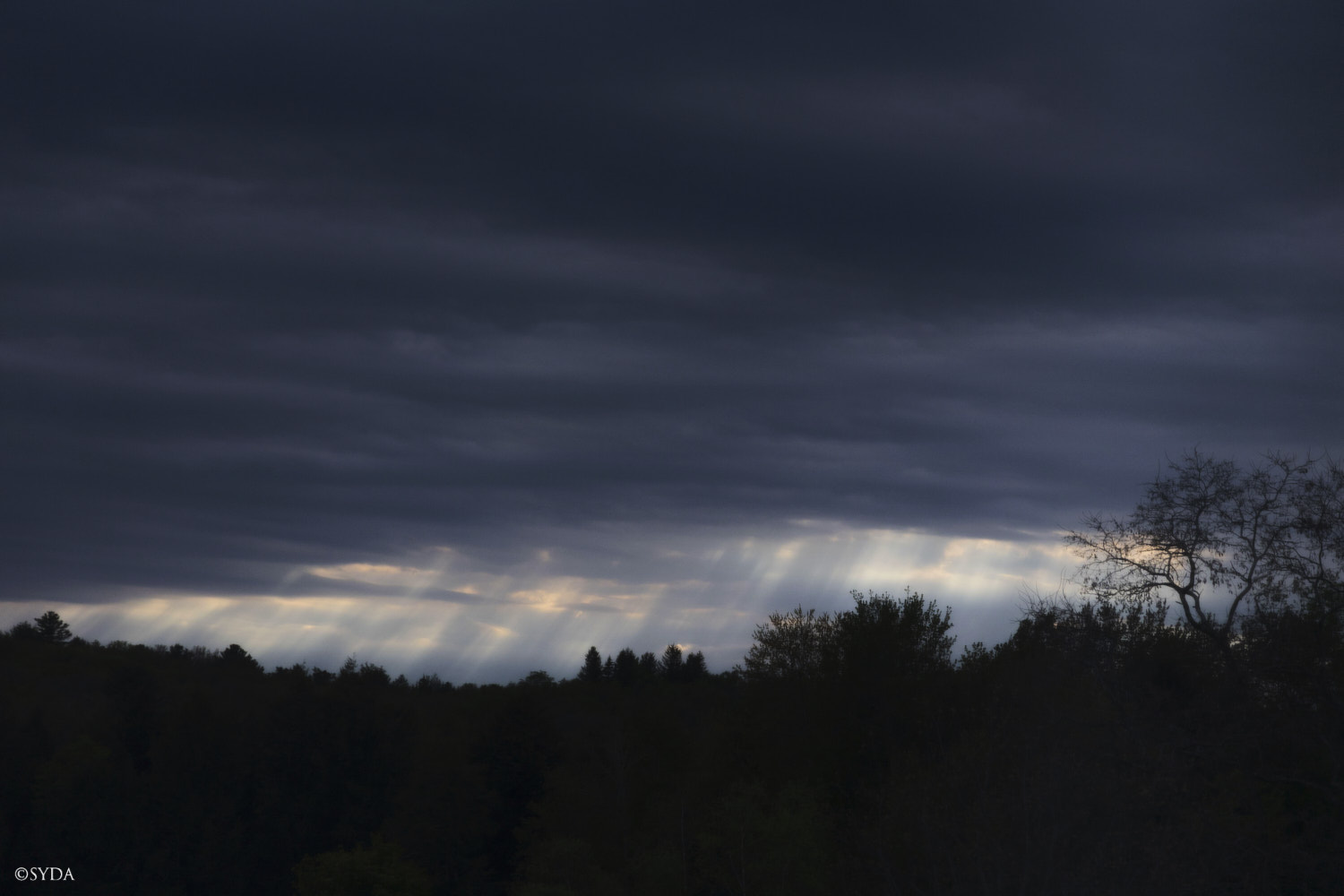 Nature Image