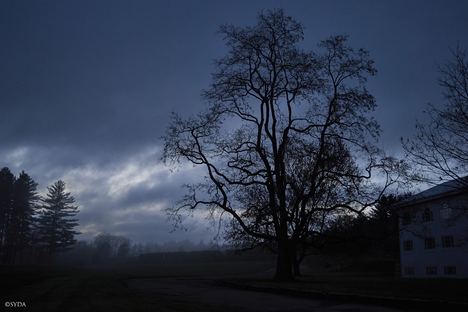 Nature Image