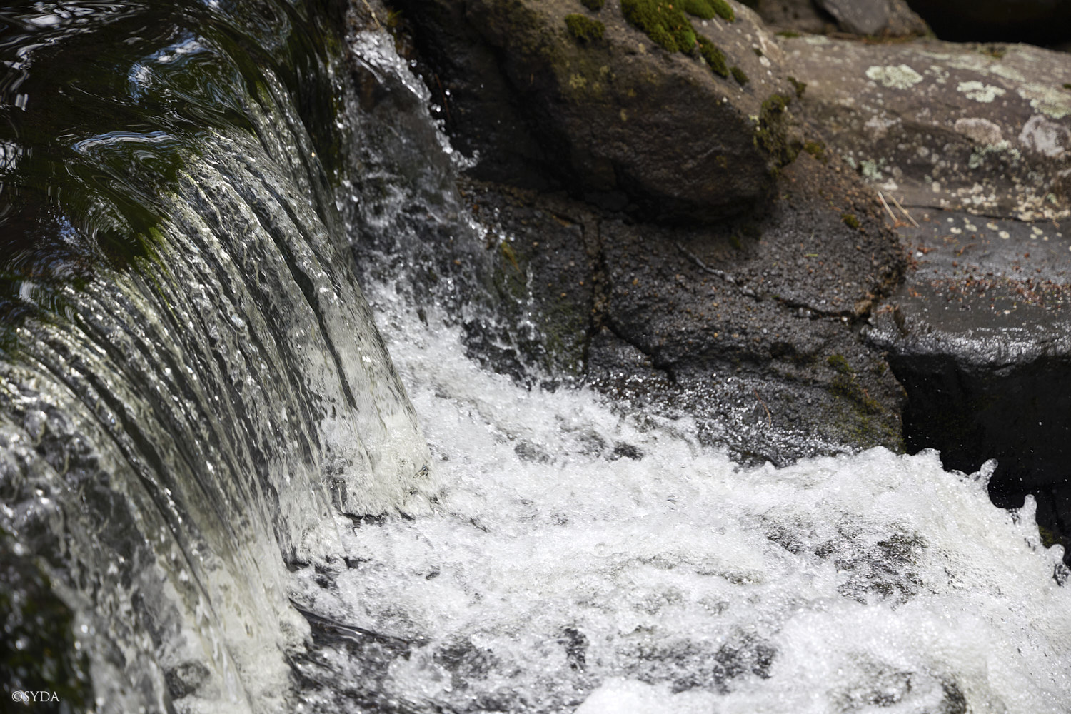 Nature Image