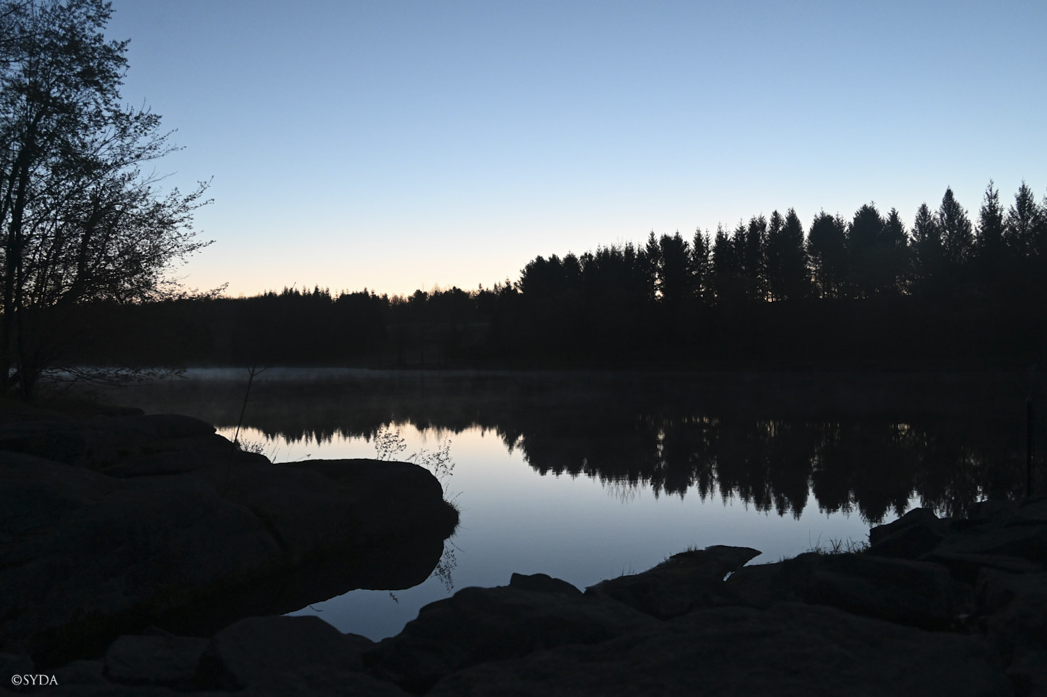Nature Image