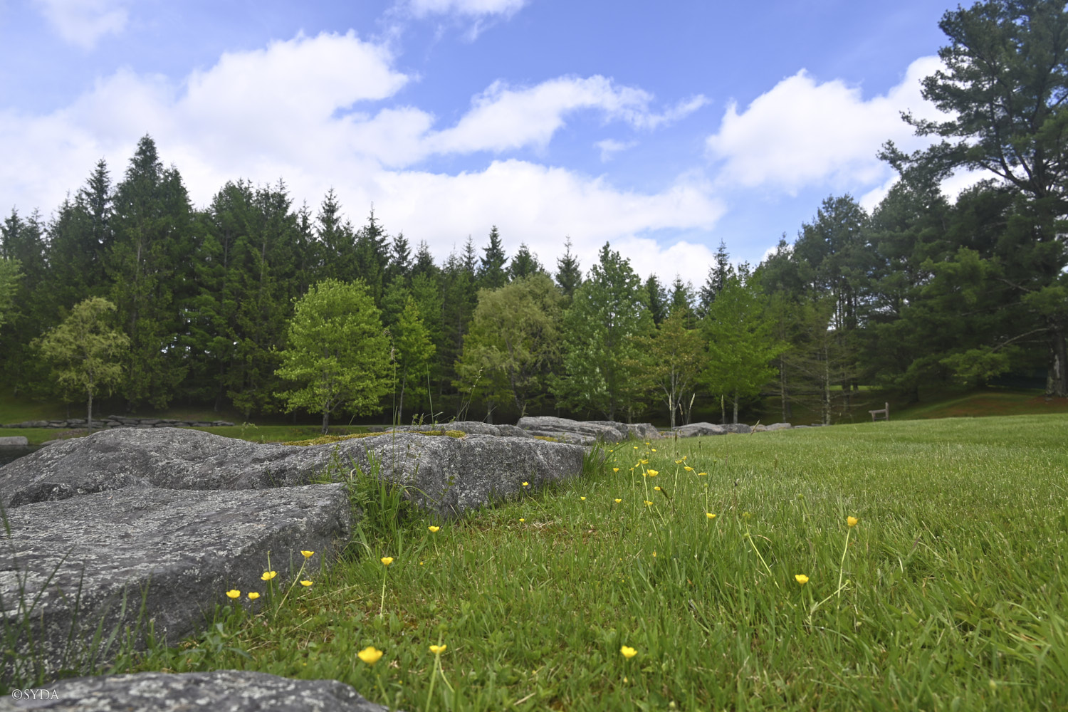 Nature Image