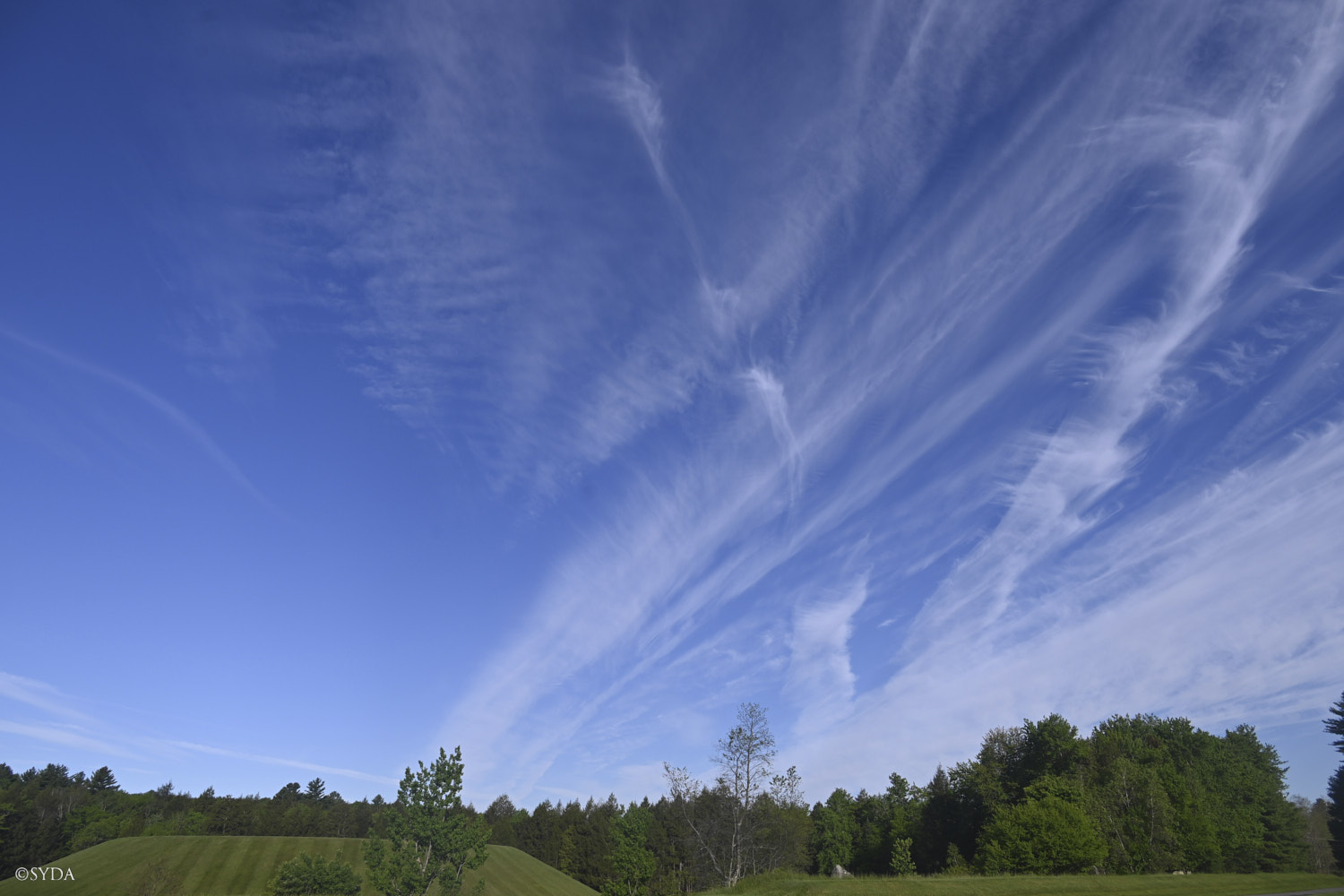 Nature Image