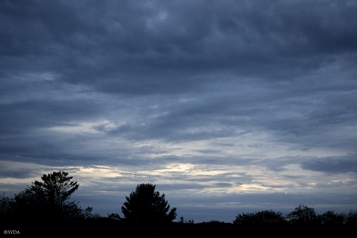 Nature Image