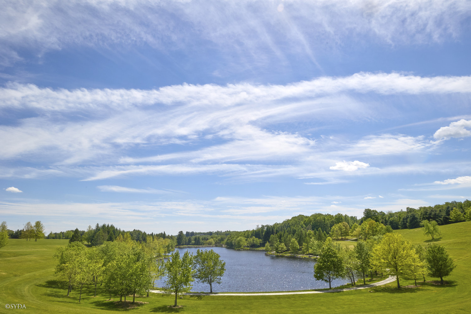 Nature Image