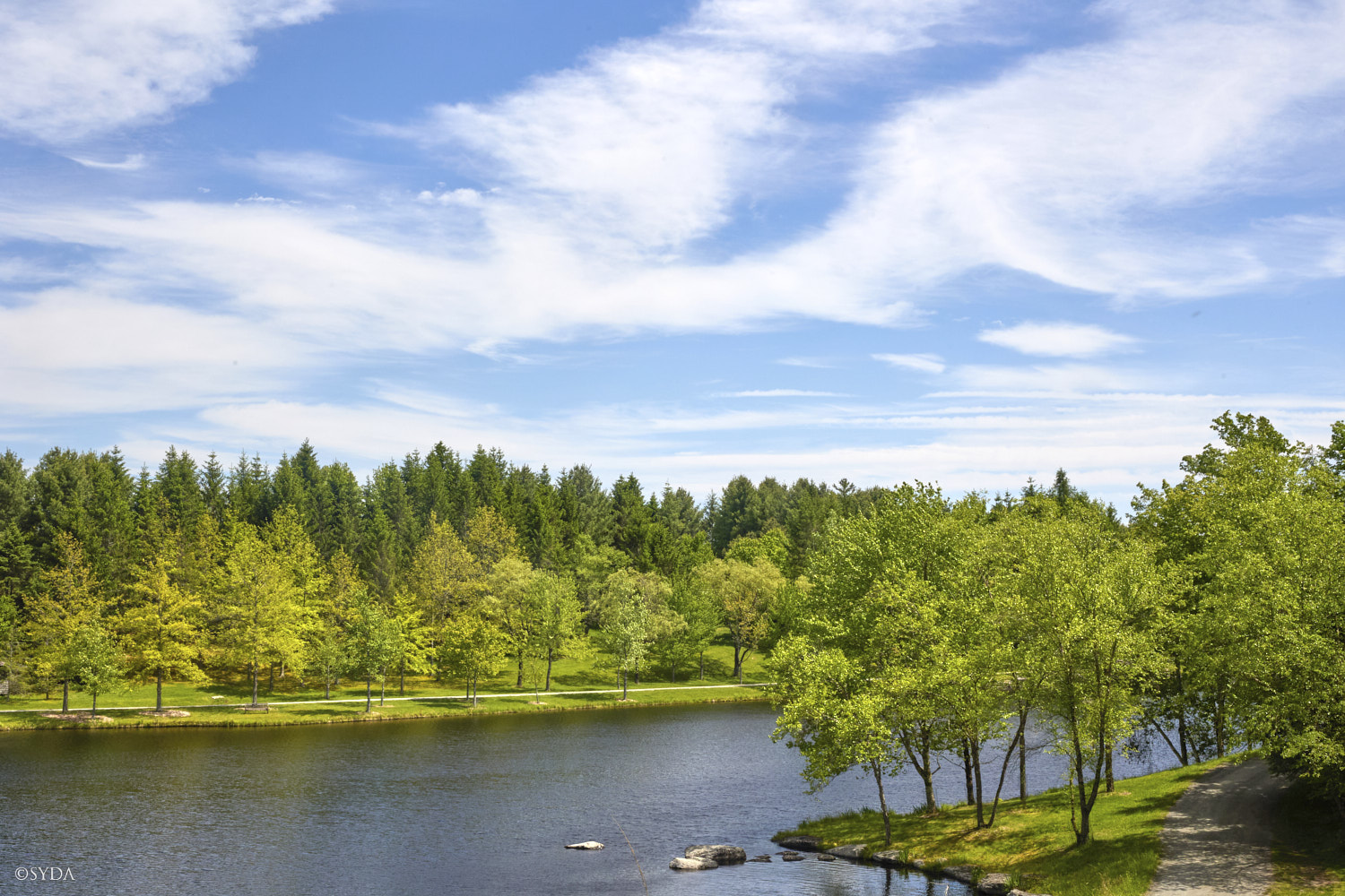 Nature Image