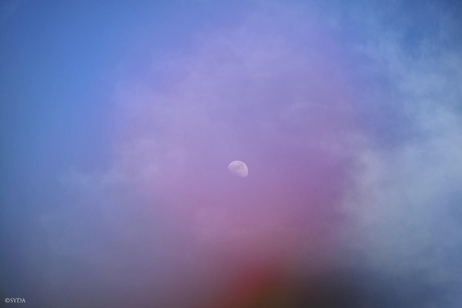Nature Image