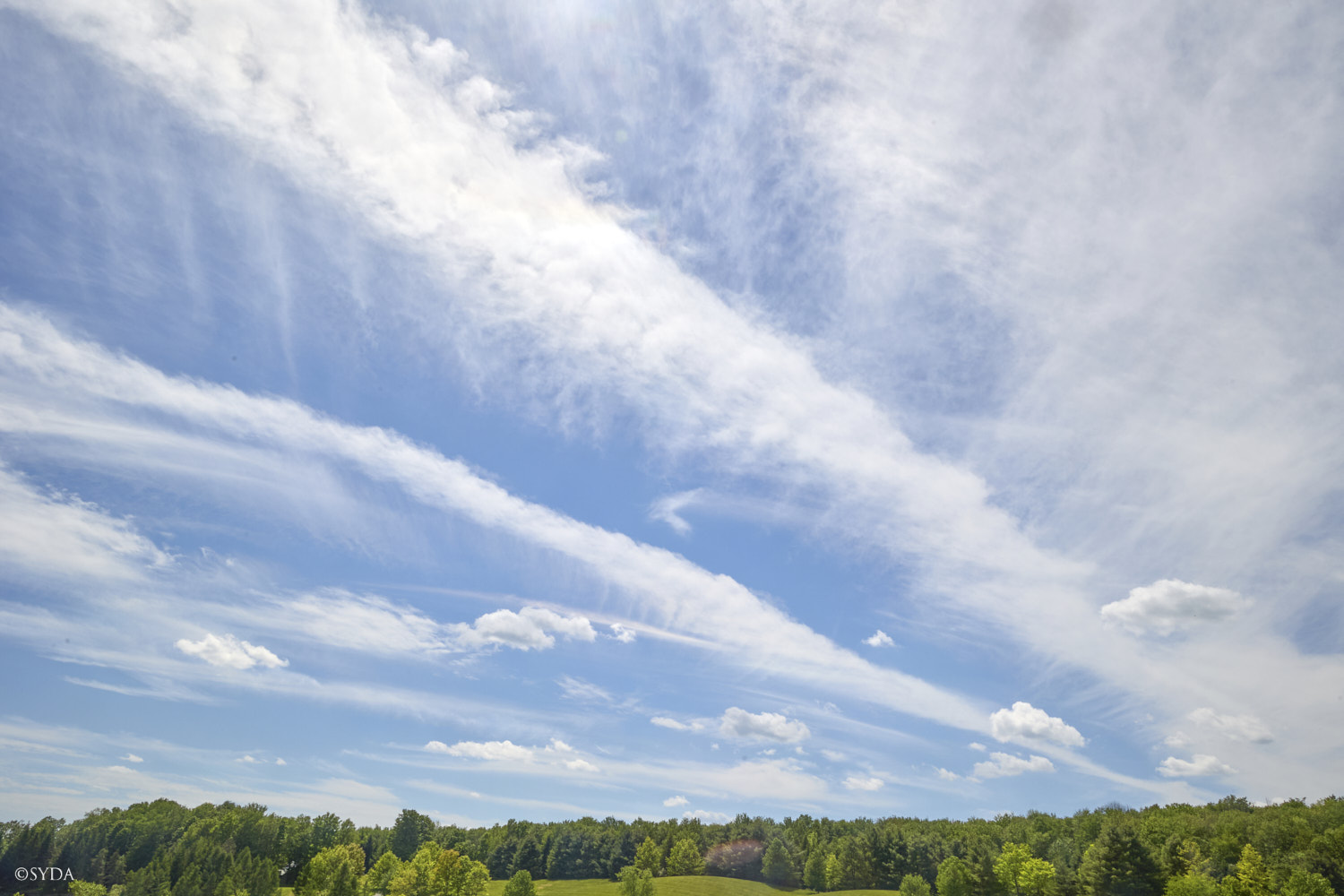 Nature Image