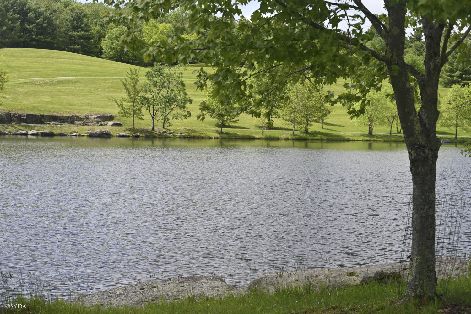 Nature Image