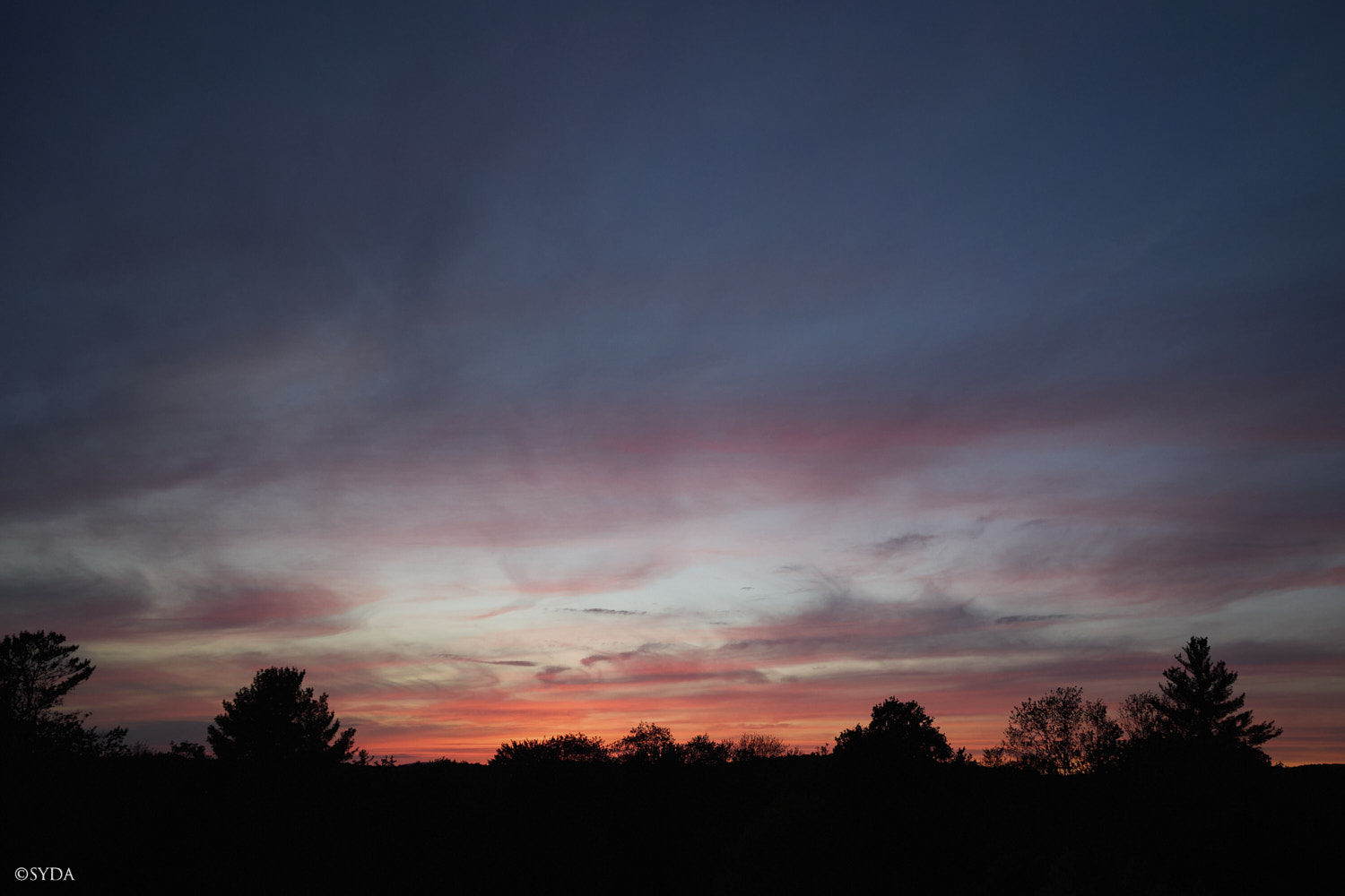 Nature Image