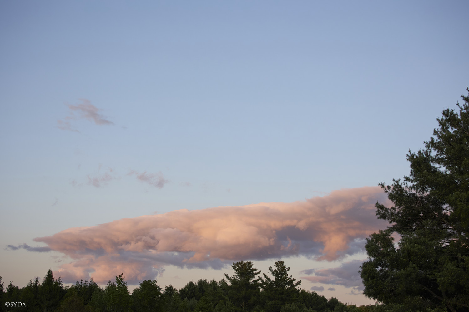 Nature Image
