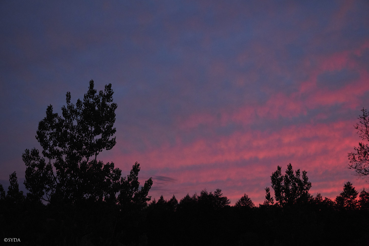 Nature Image