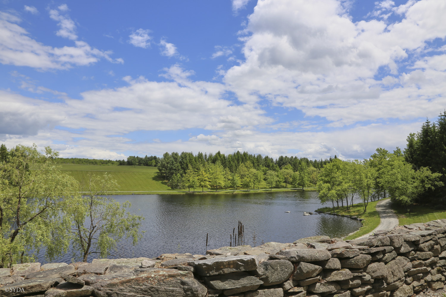 Nature Image