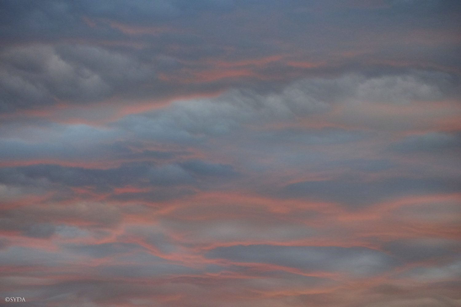 Nature Image
