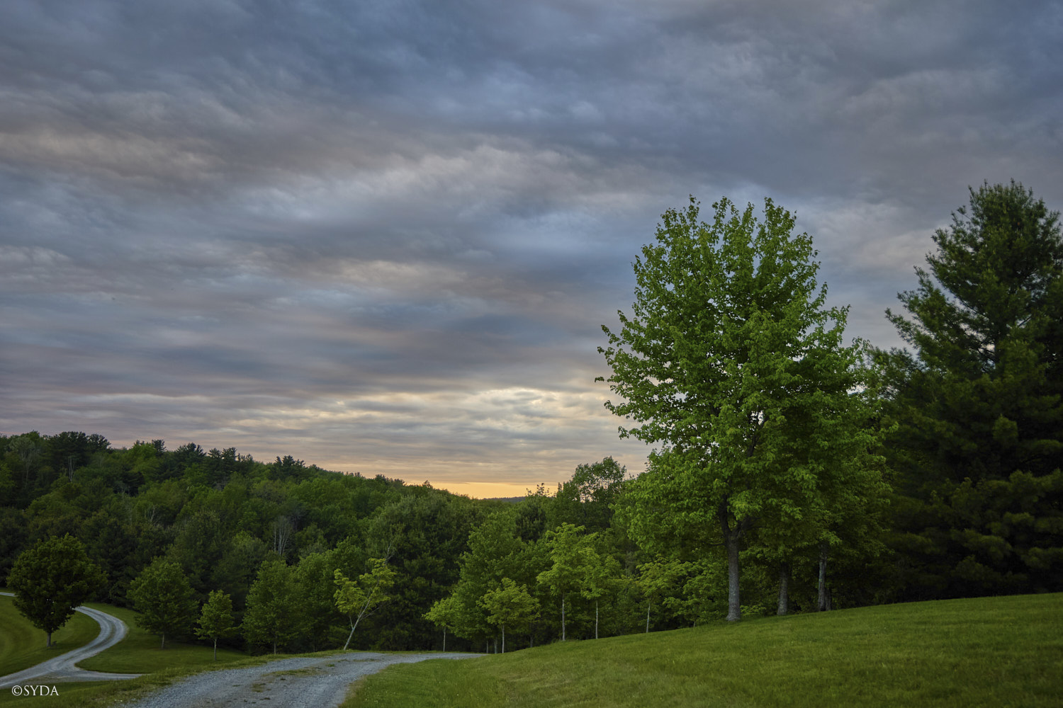 Nature Image
