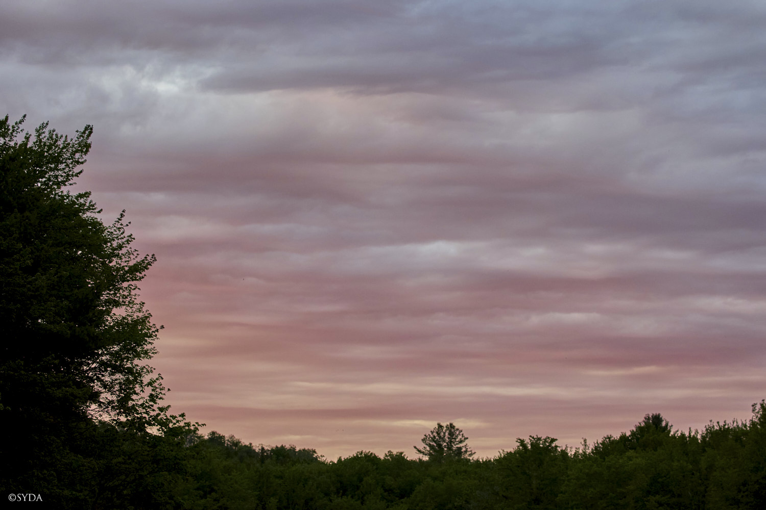 Nature Image