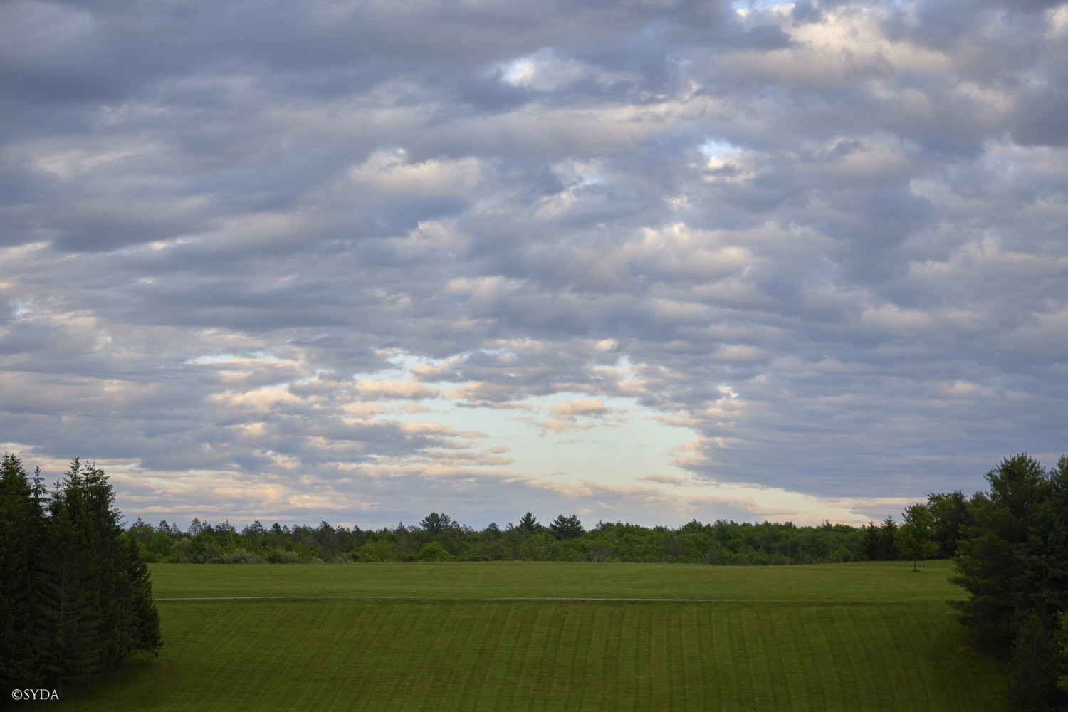 Nature Image