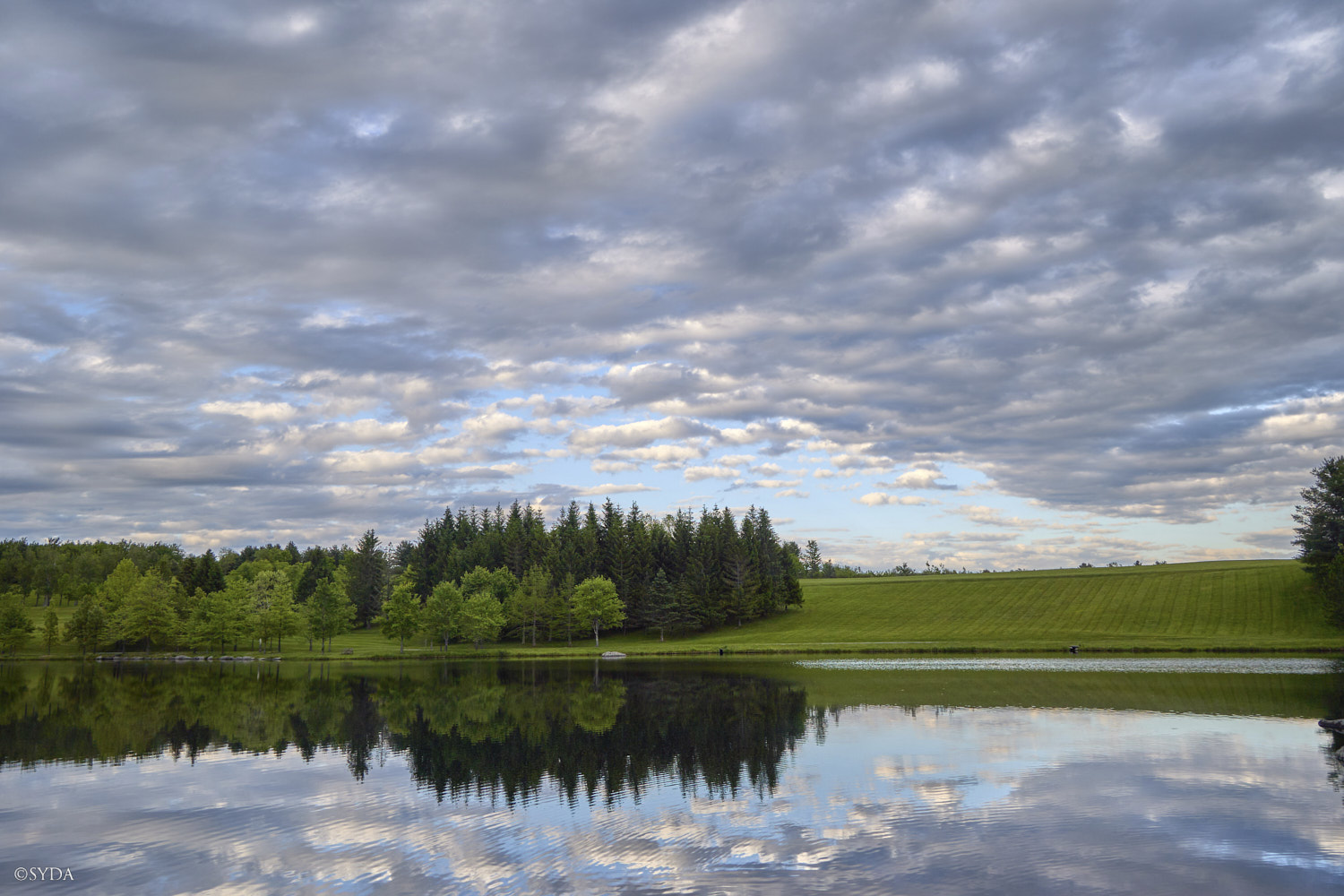 Nature Image