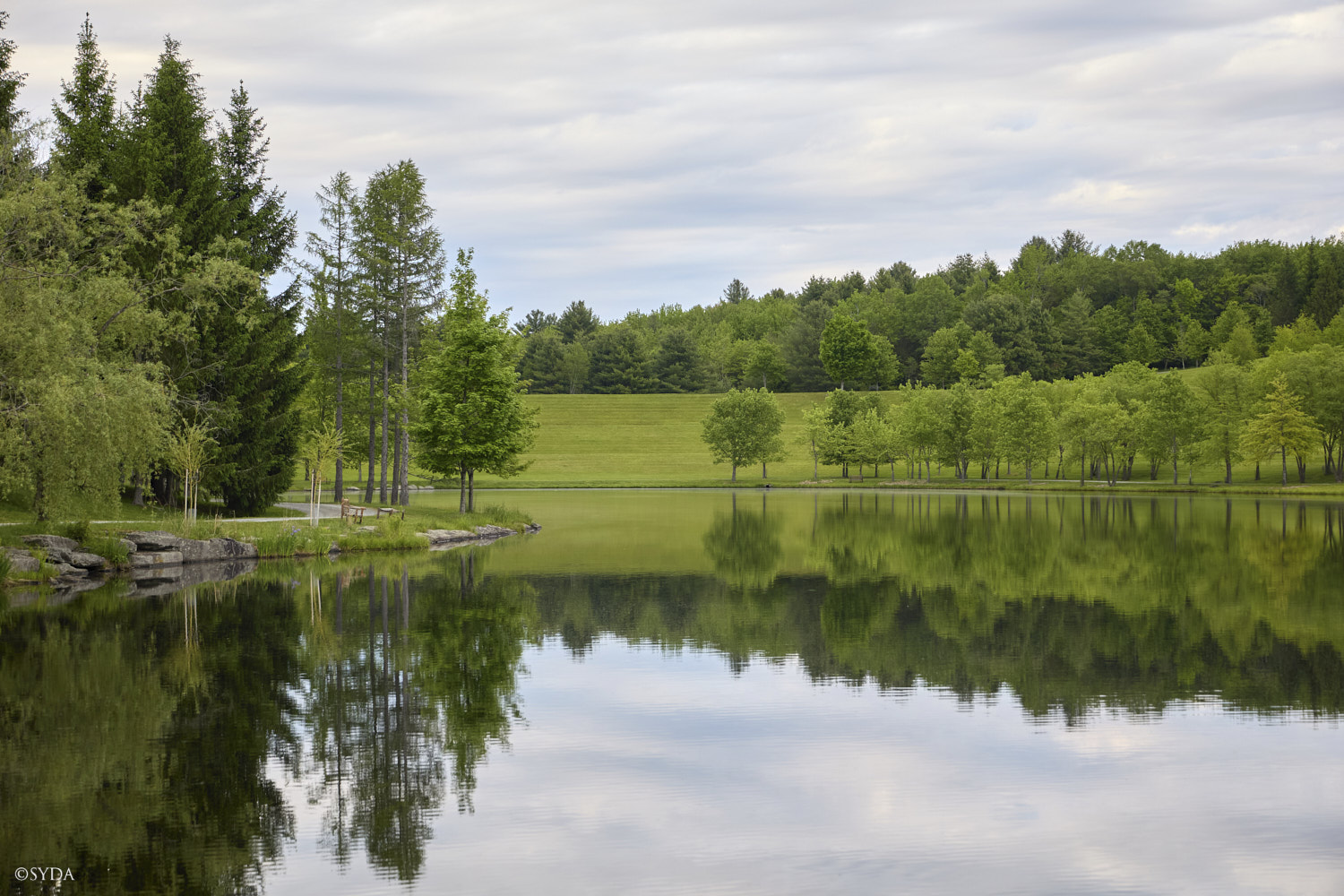 Nature Image