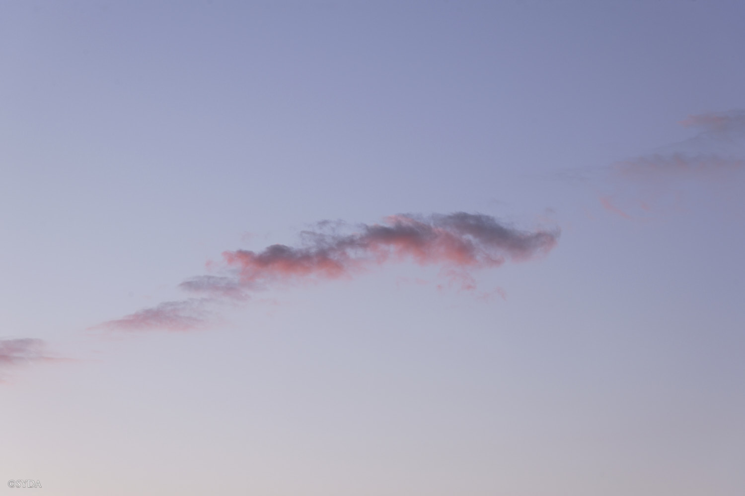 Nature Image