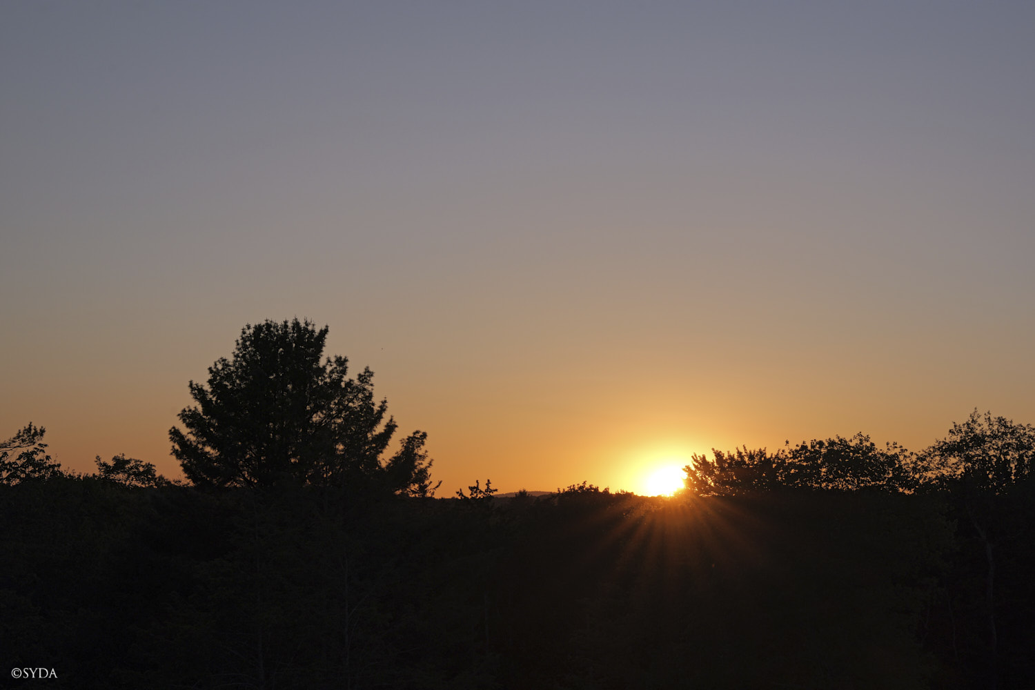 Nature Image