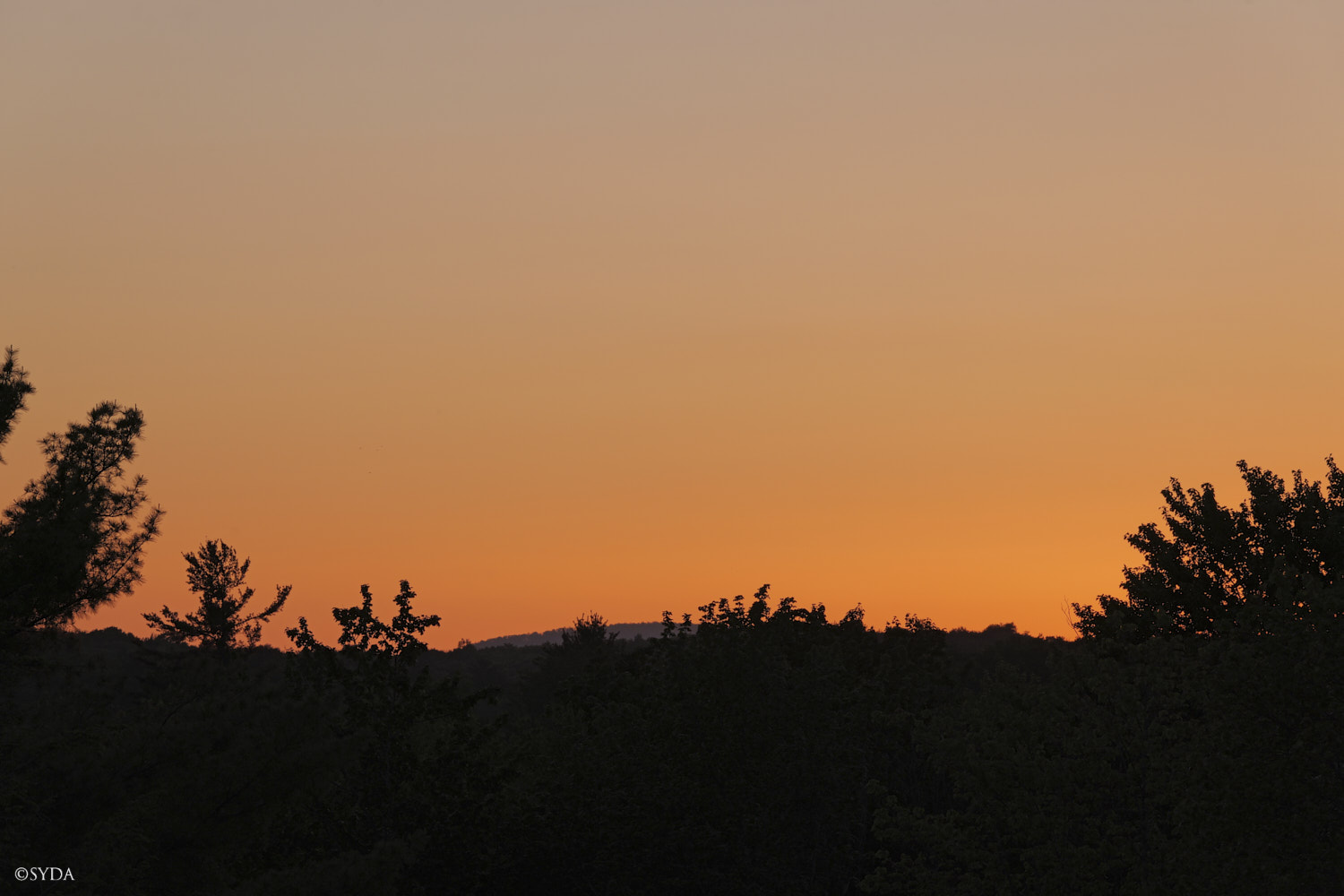 Nature Image