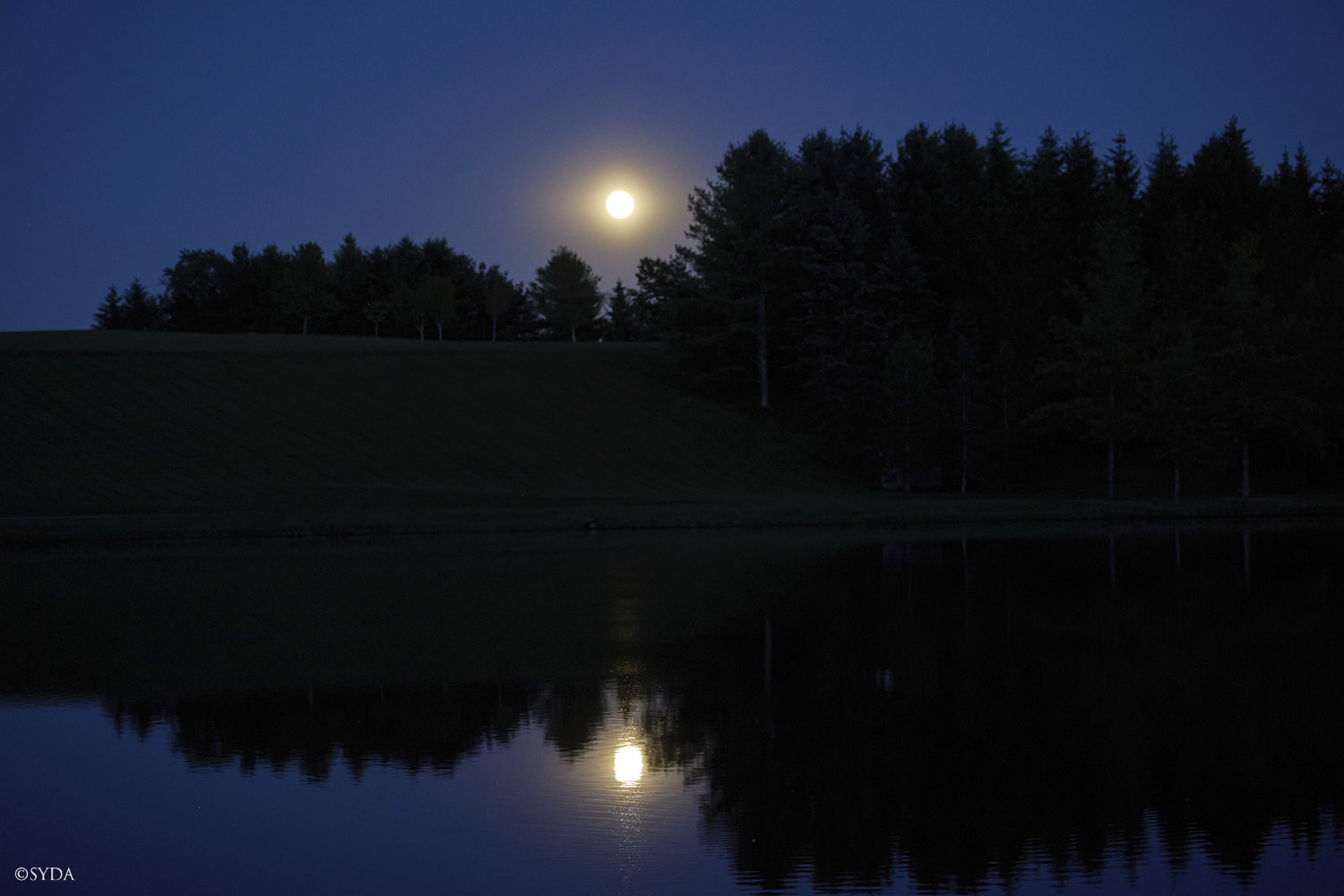 Nature Image