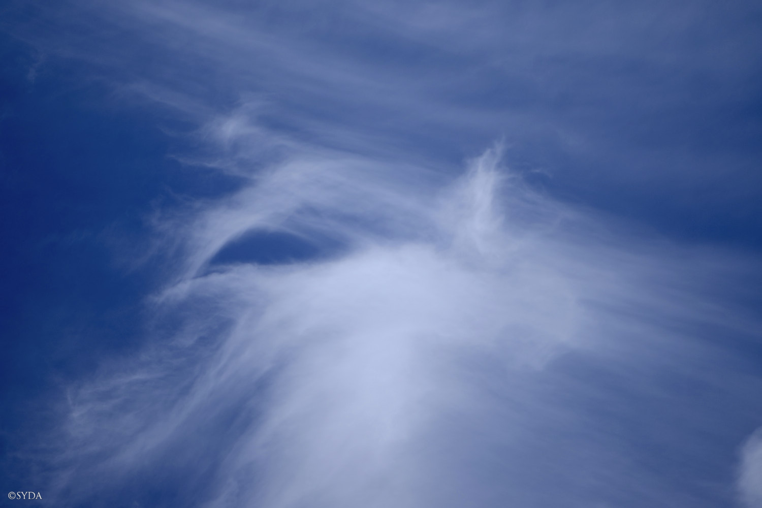 Nature Image