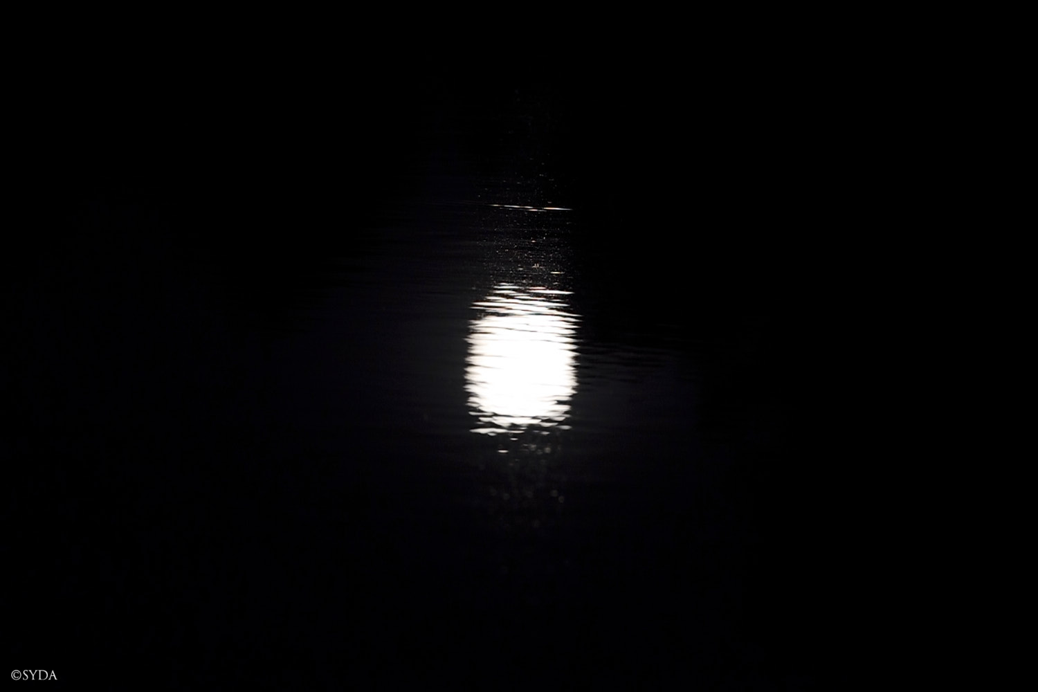 Nature Image