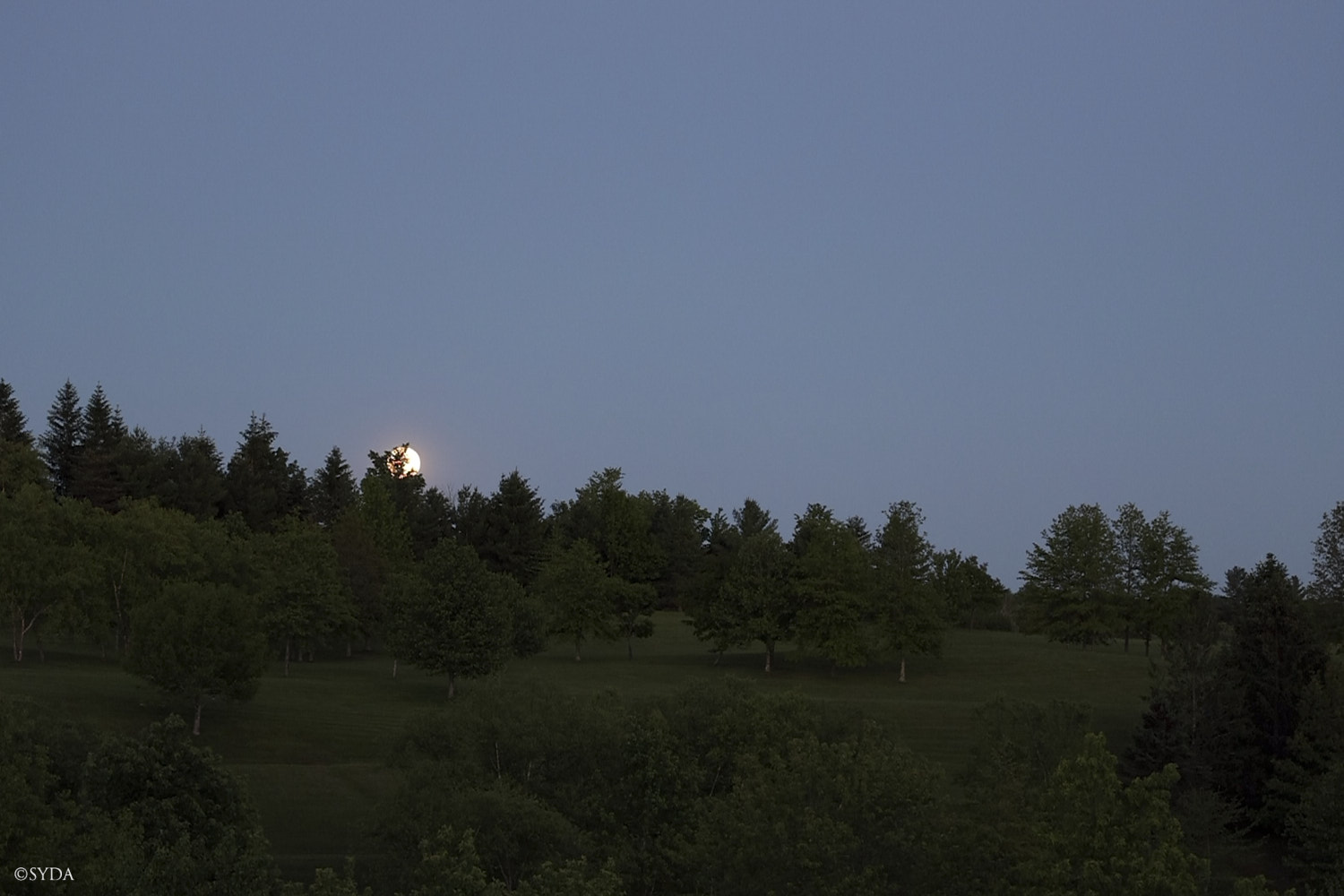 Nature Image