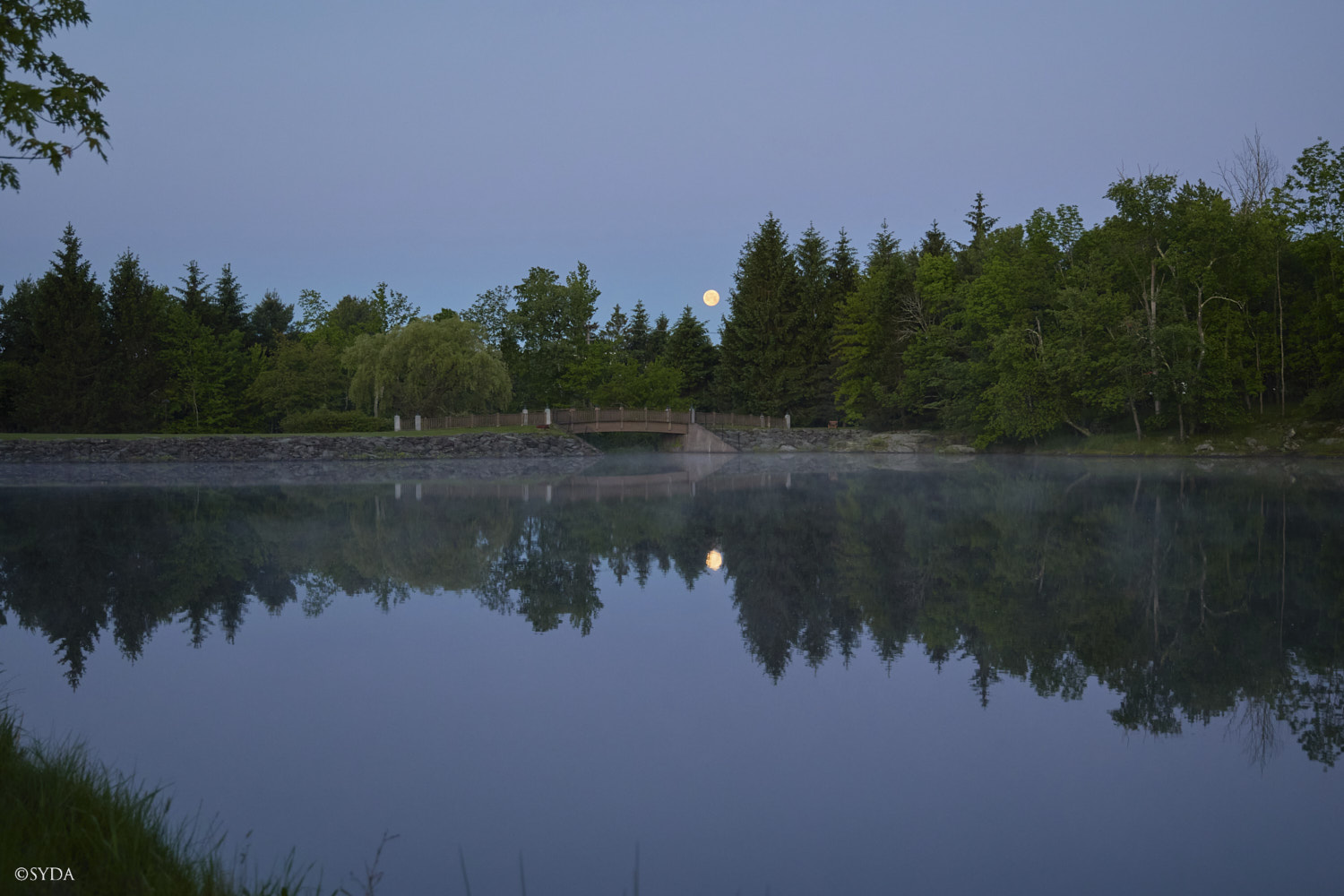 Nature Image