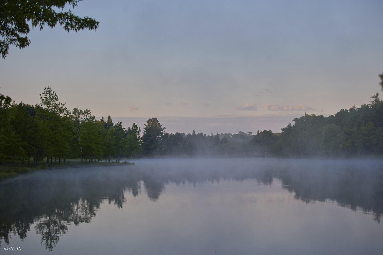 Nature Image