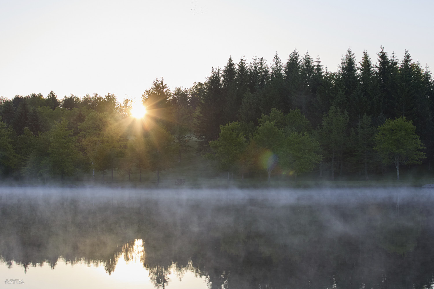 Nature Image