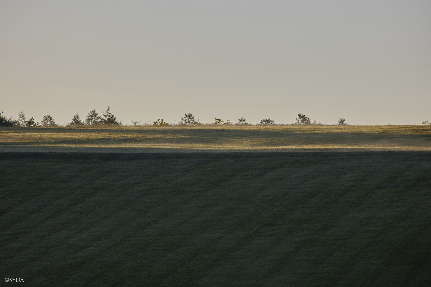 Nature Image