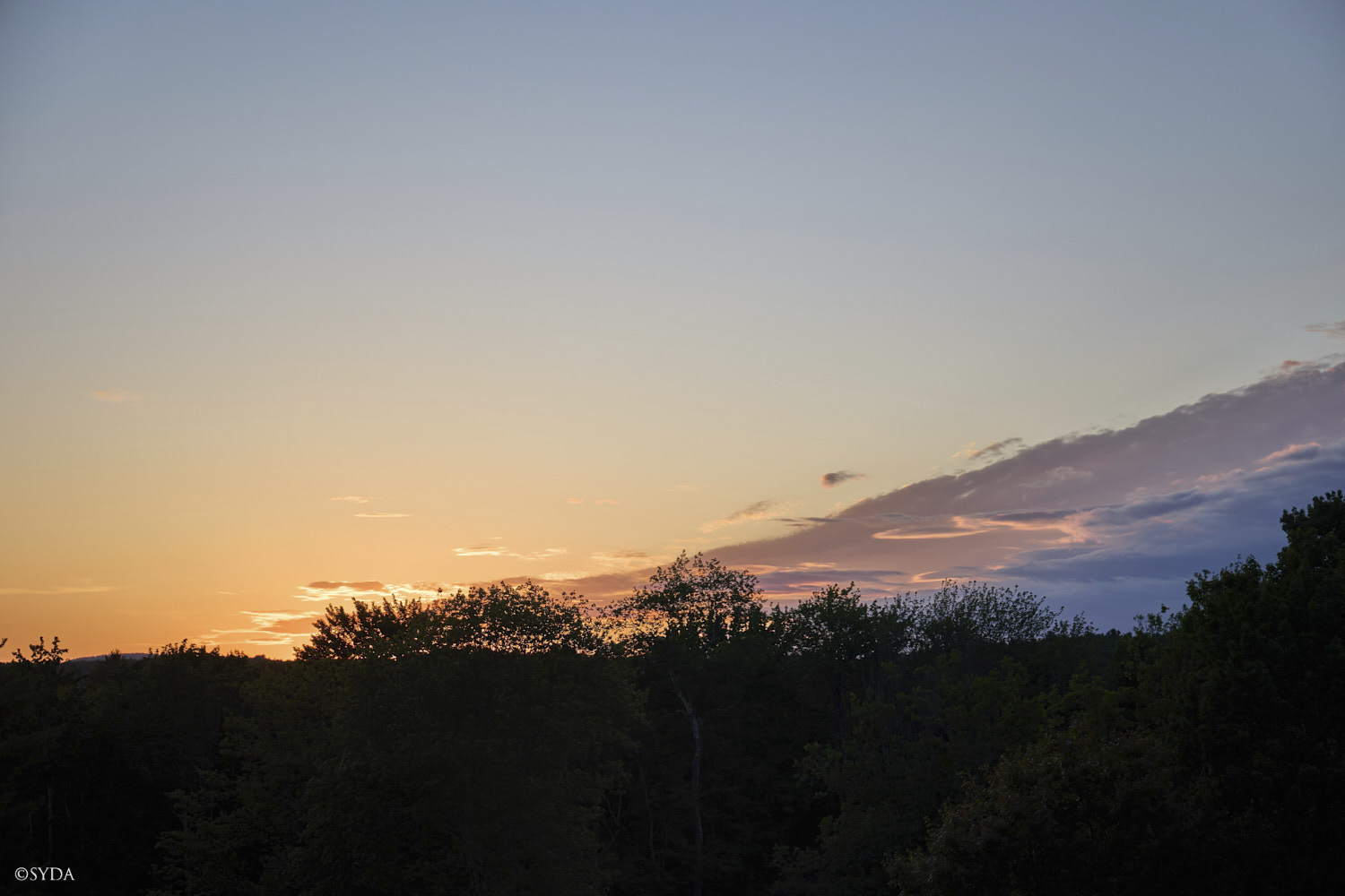 Nature Image
