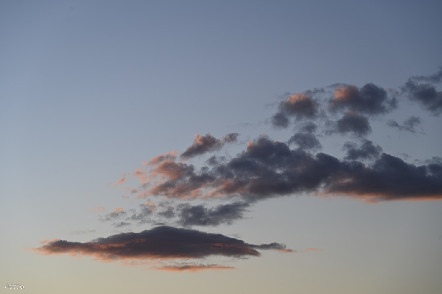 Nature Image