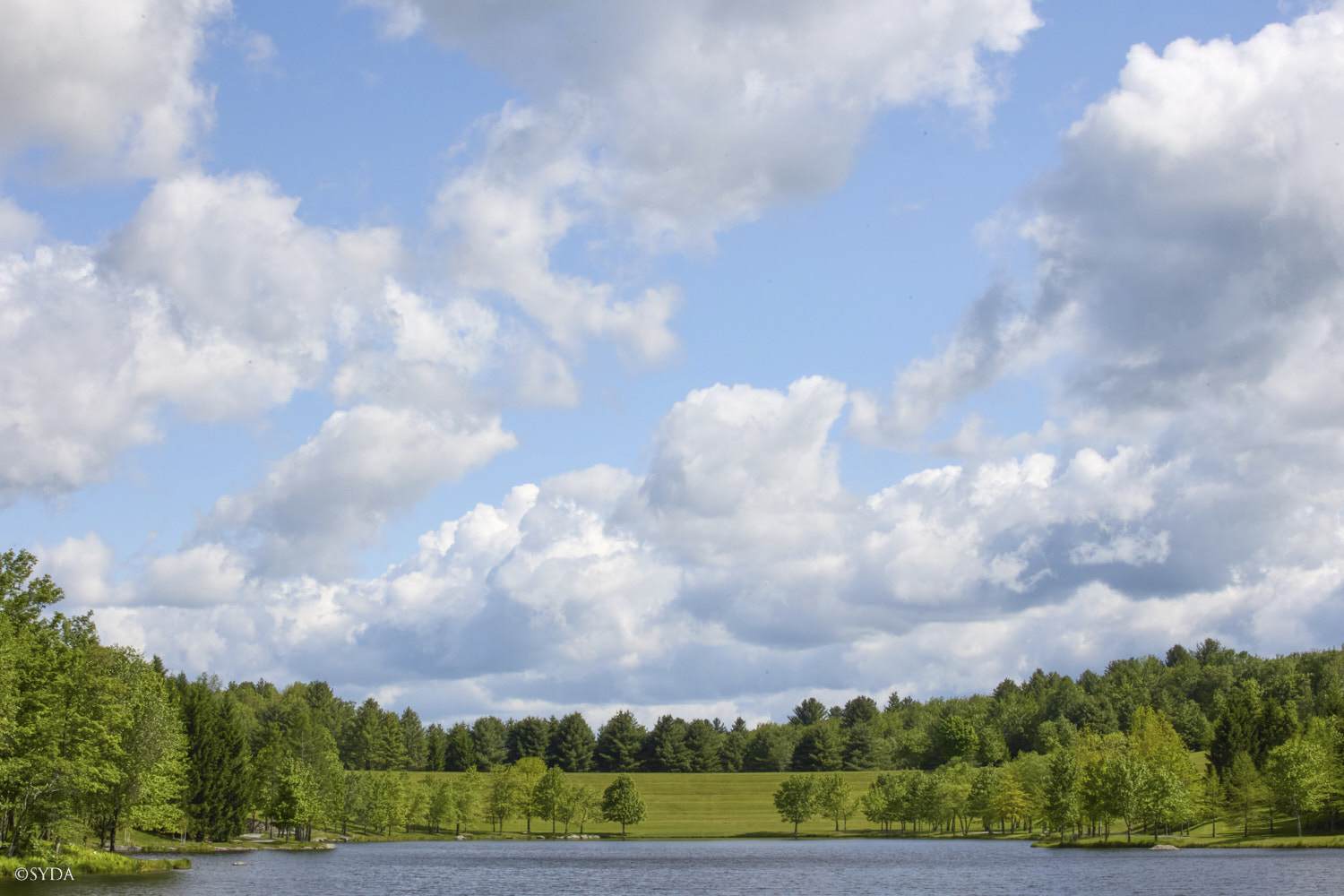 Nature Image
