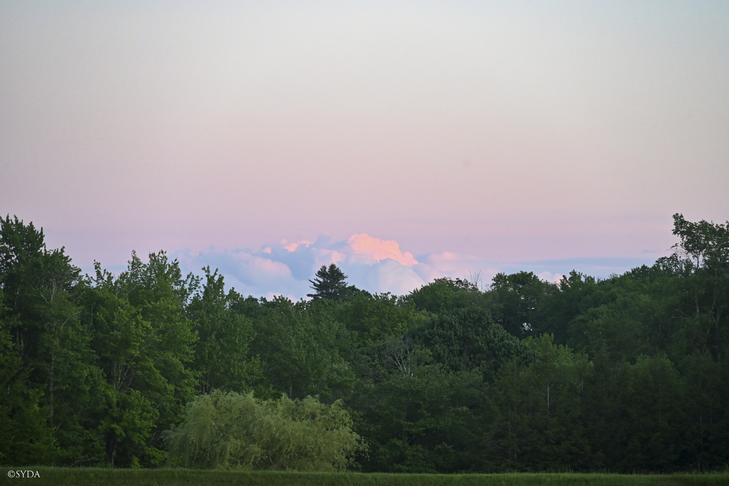 Nature Image
