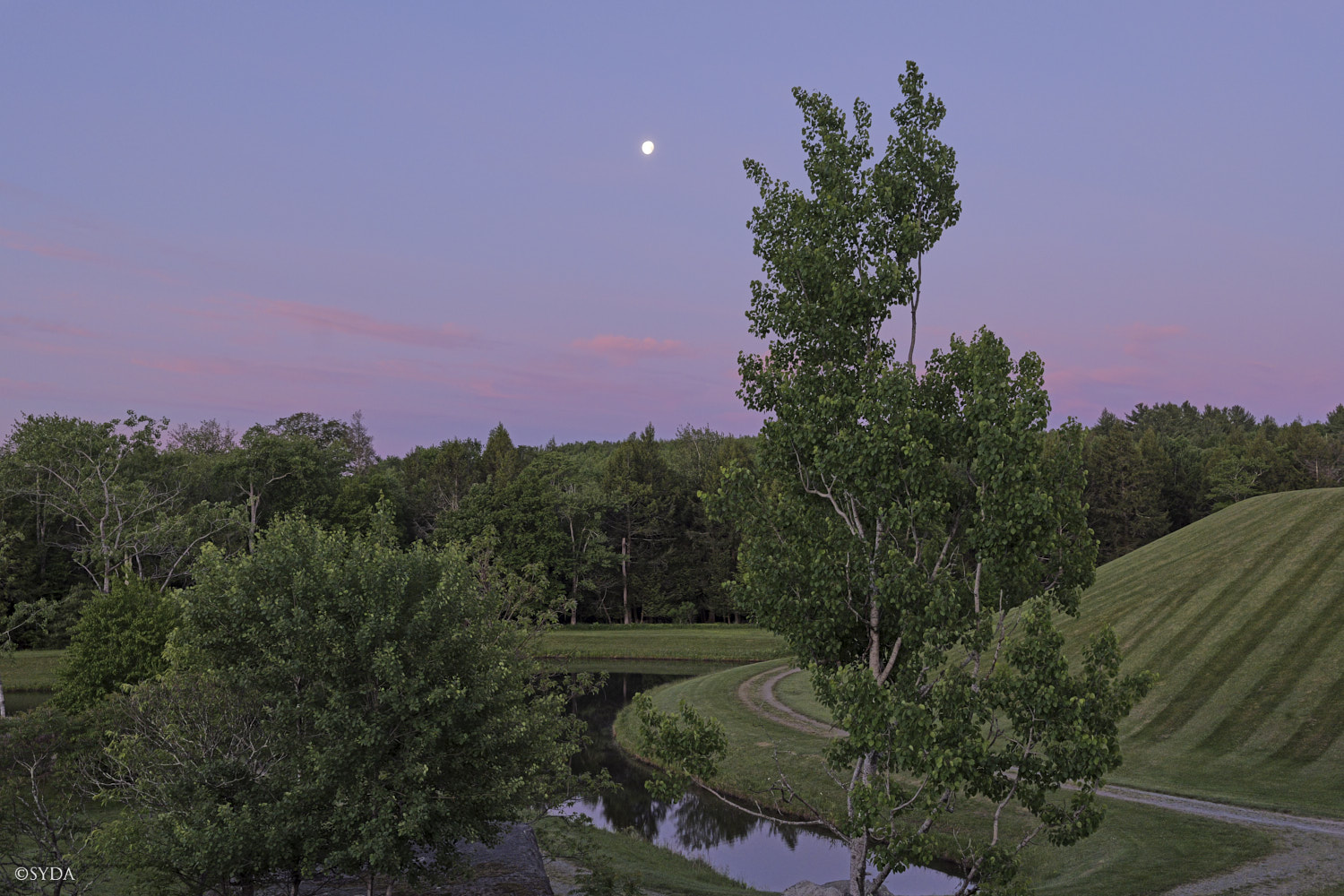 Nature Image