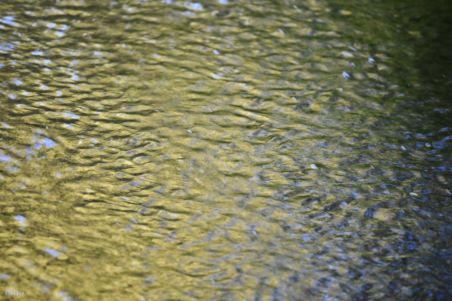 Nature Image