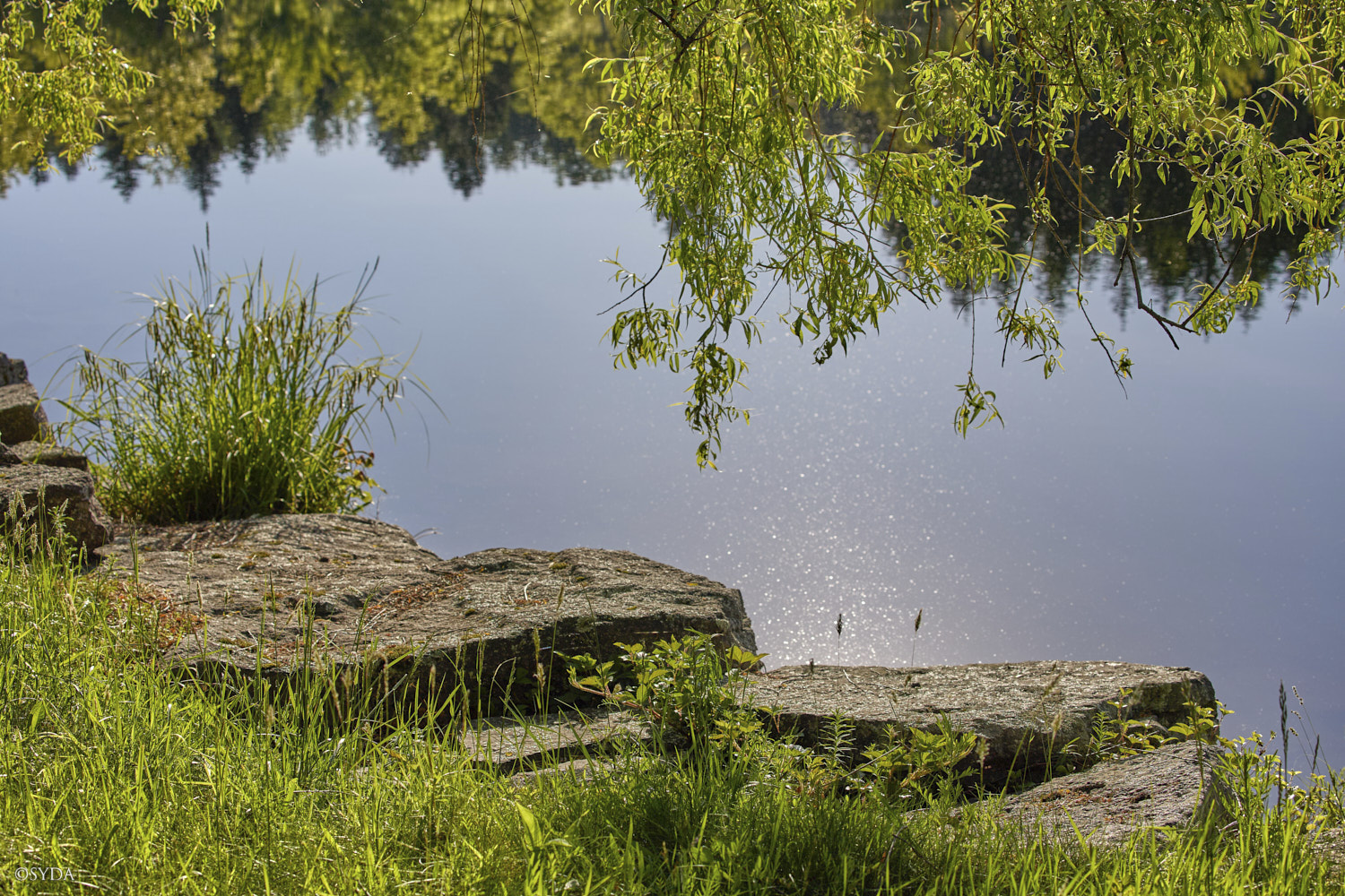 Nature Image