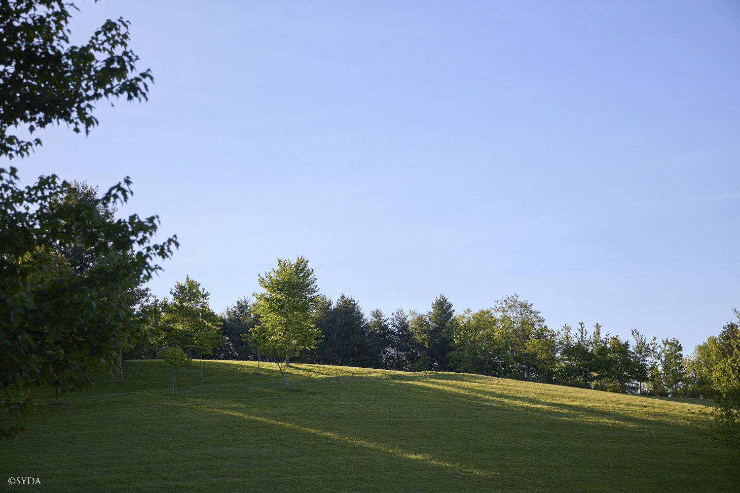 Nature Image