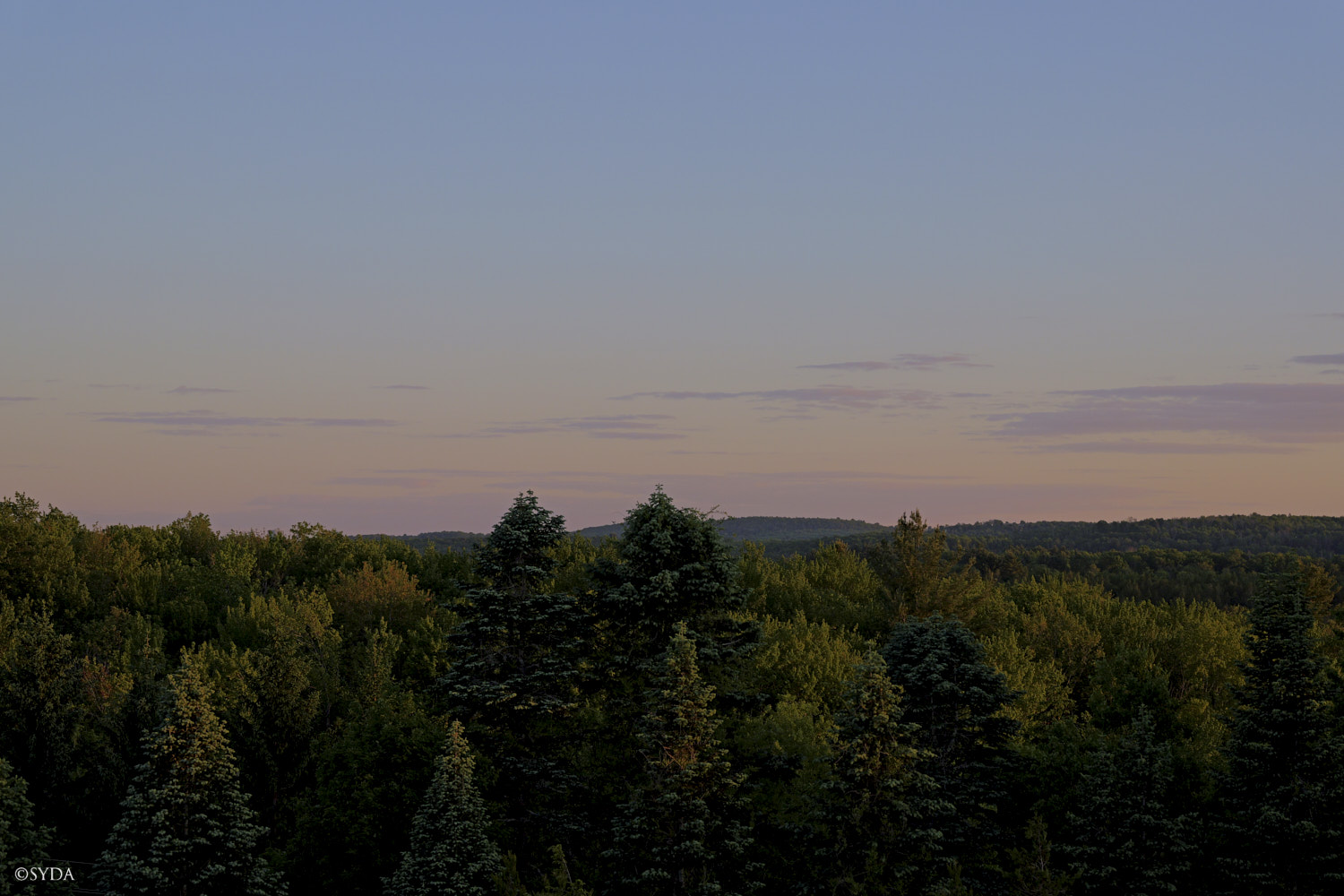 Nature Image