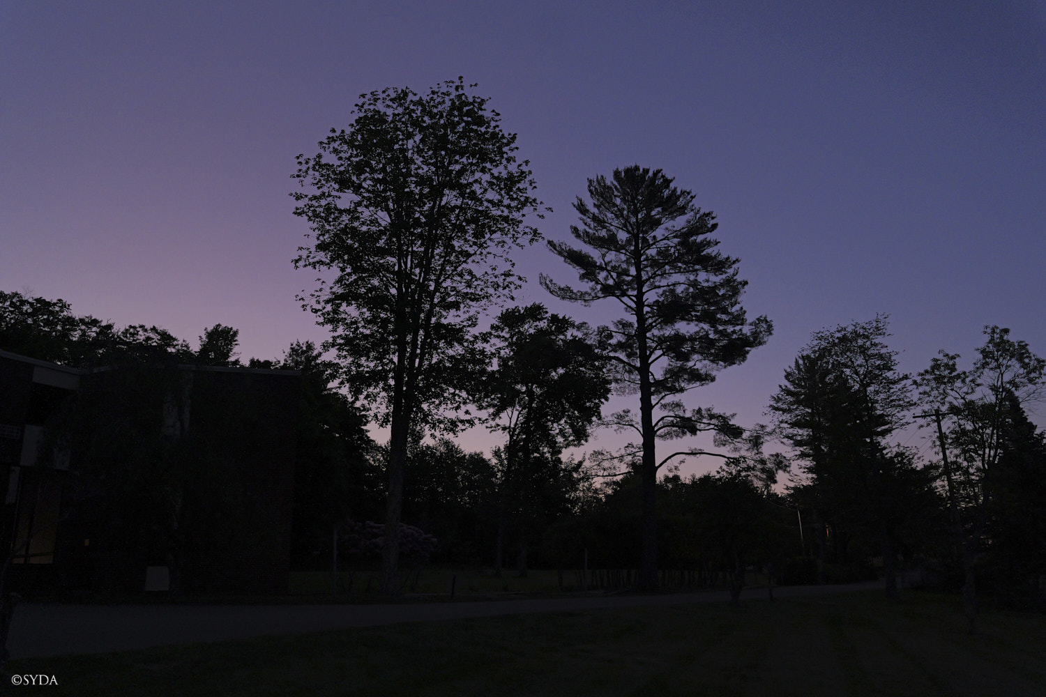 Nature Image