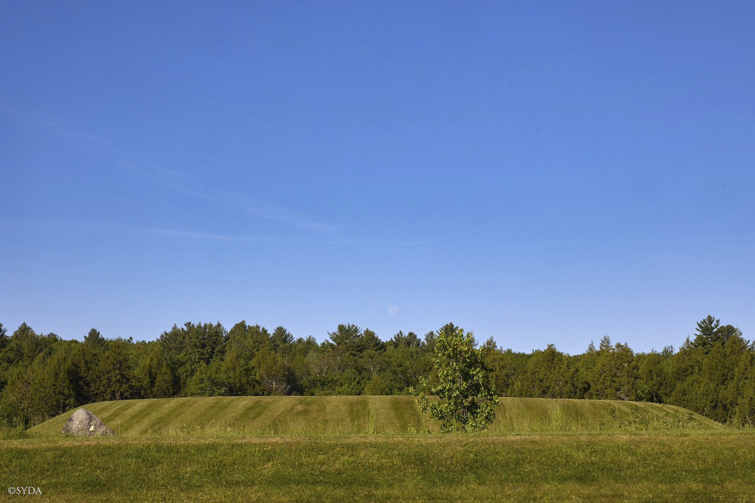 Nature Image