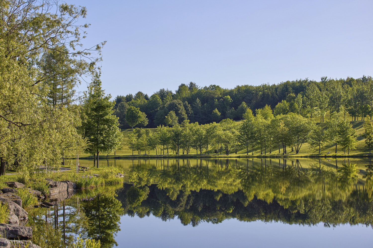 Nature Image