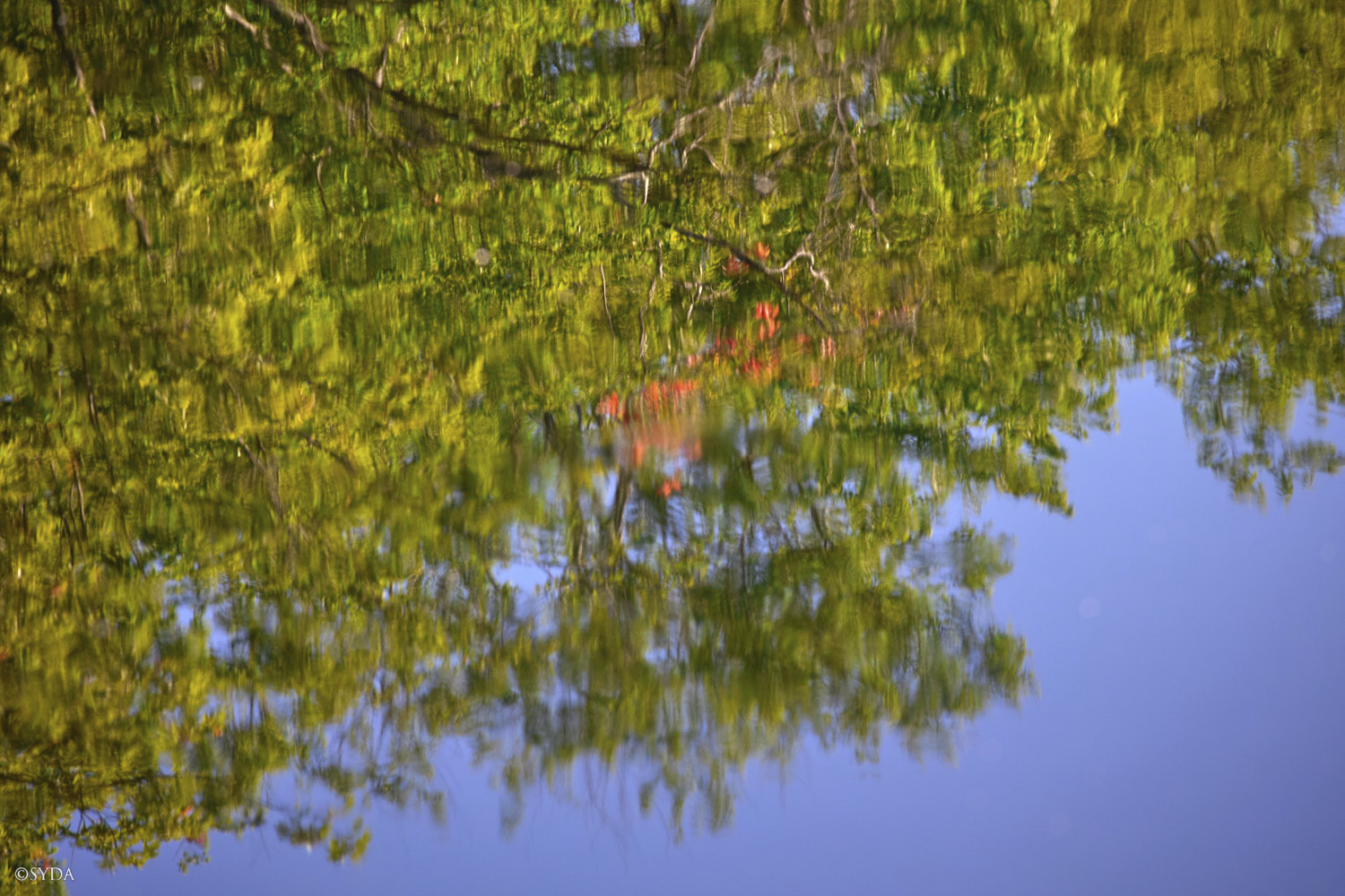 Nature Image