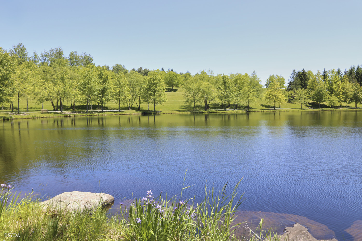 Nature Image