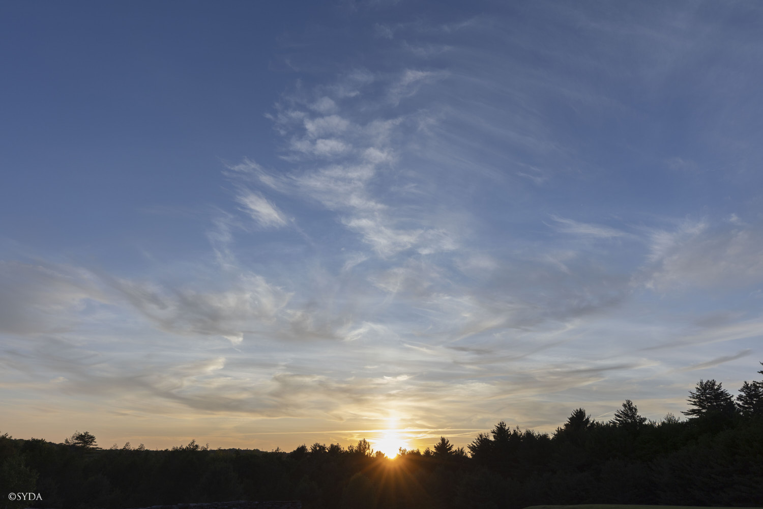 Nature Image