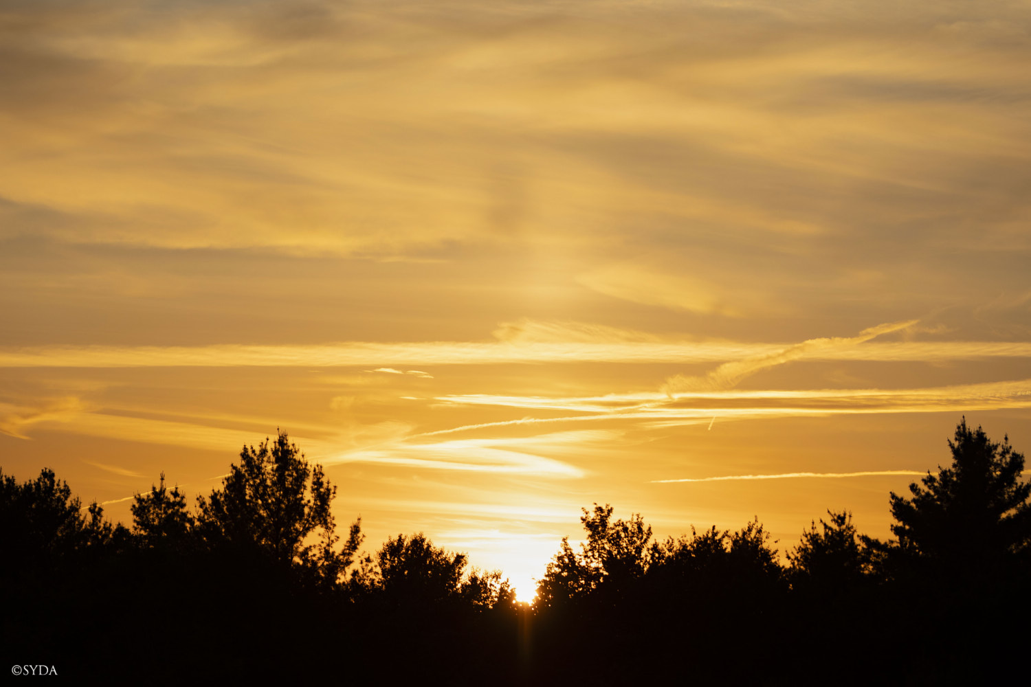 Nature Image